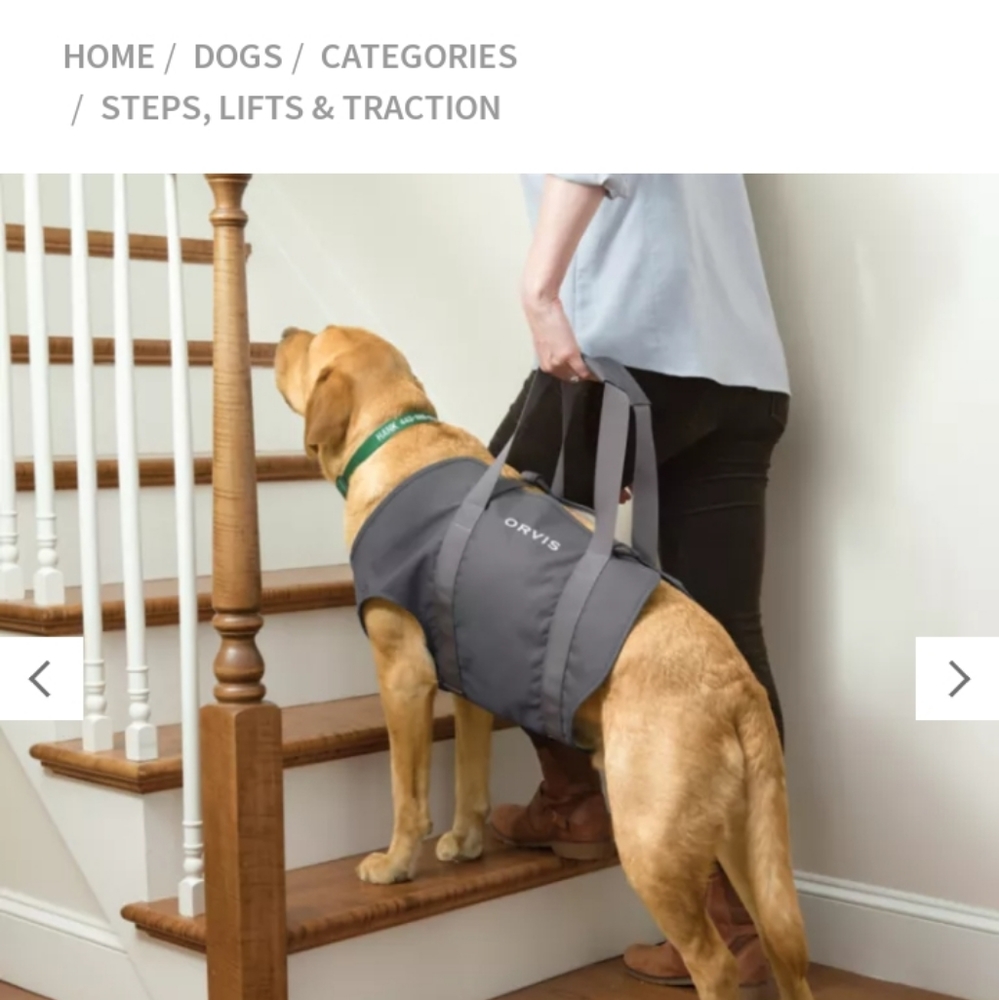 NWT Dog Lift Harness for Large and XL Dogs